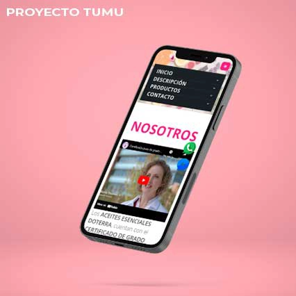 Proyecto-TUMU3