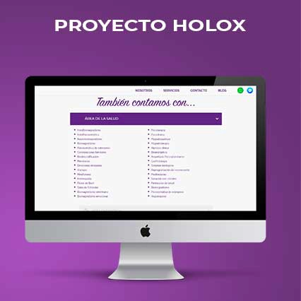 Proyecto-Holox-2